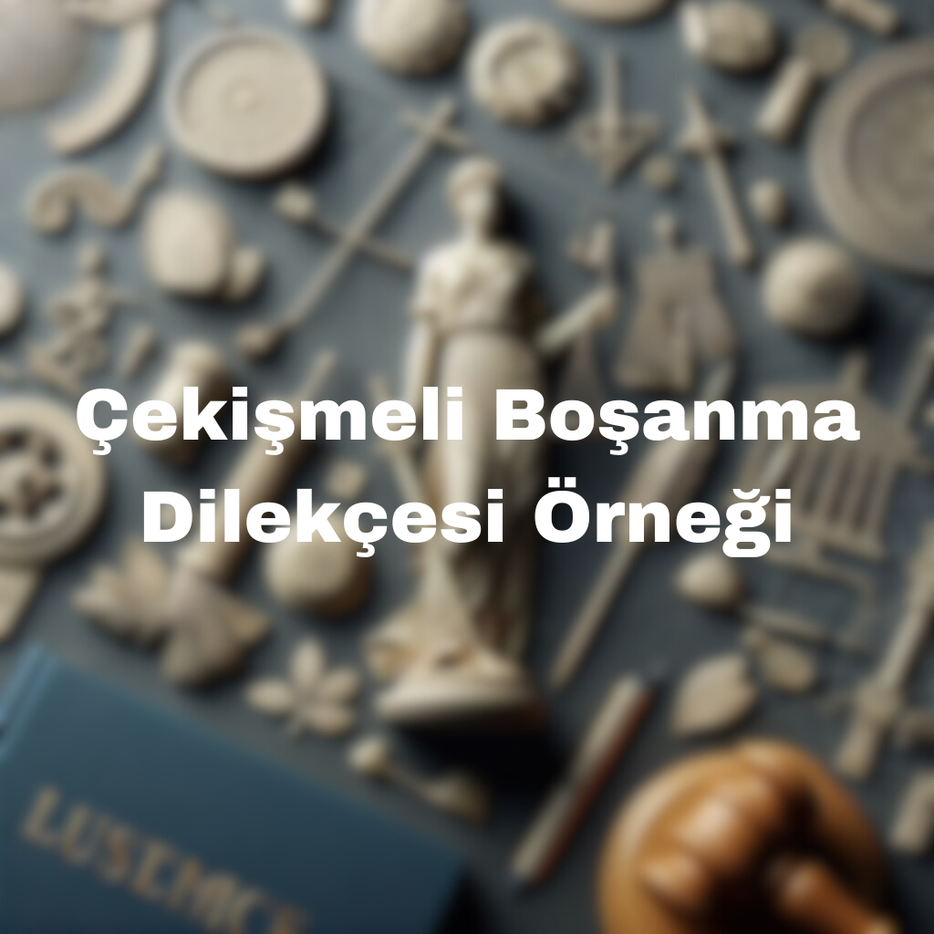 Çekişmeli Boşanma Dilekçesi Örneği